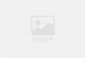 全自动高级不锈钢绞肉机